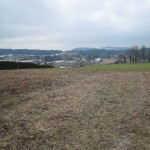 Blick ins WZ